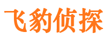 城区市婚外情调查